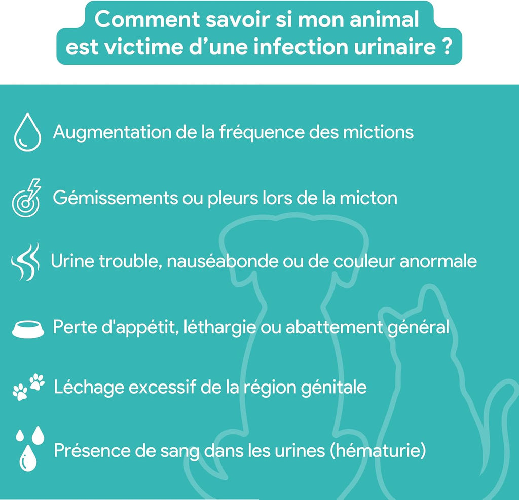 Vesicaline • Soulagement & prévention des infections urinaires