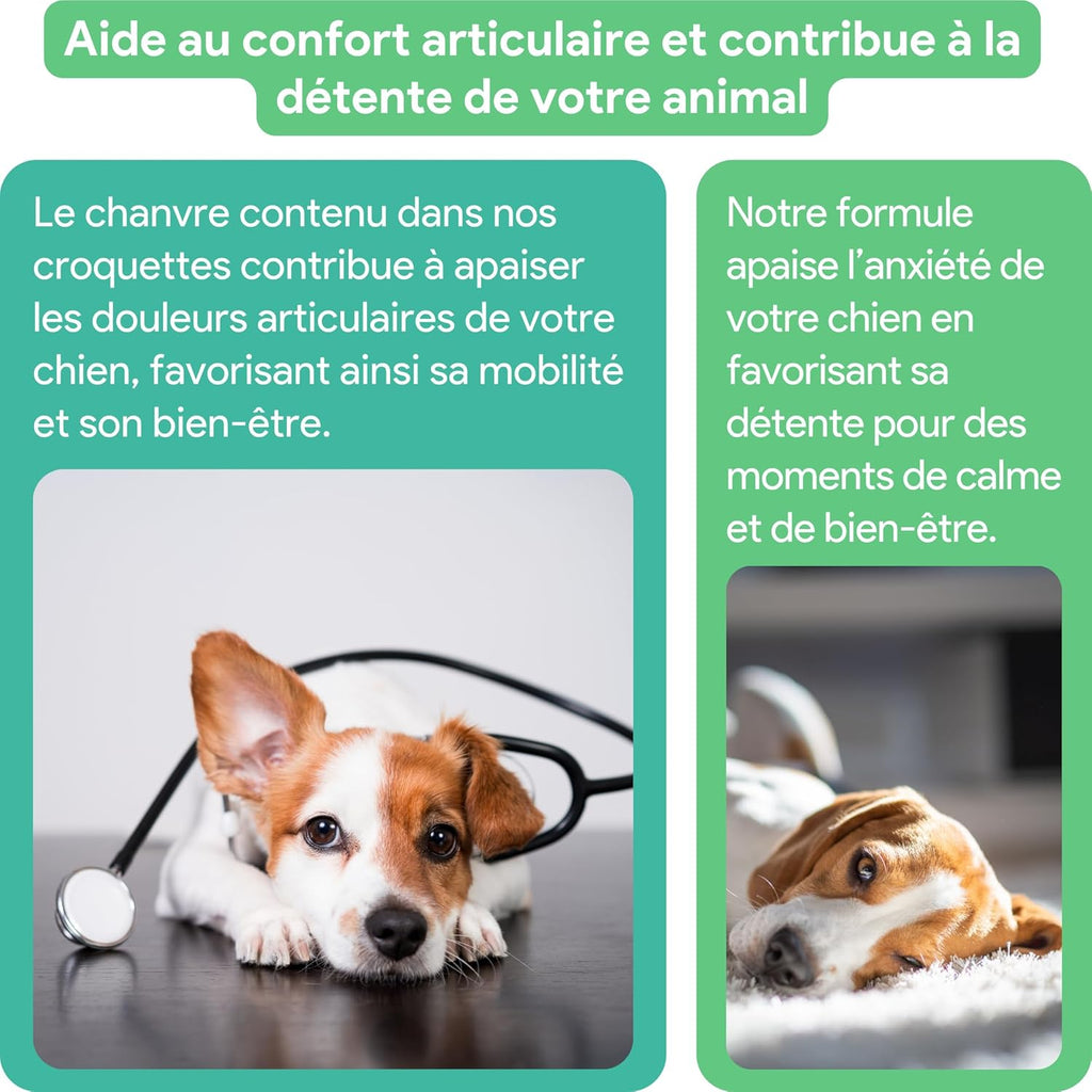 Friandises au Chanvre pour chiens • Stress & mobilité