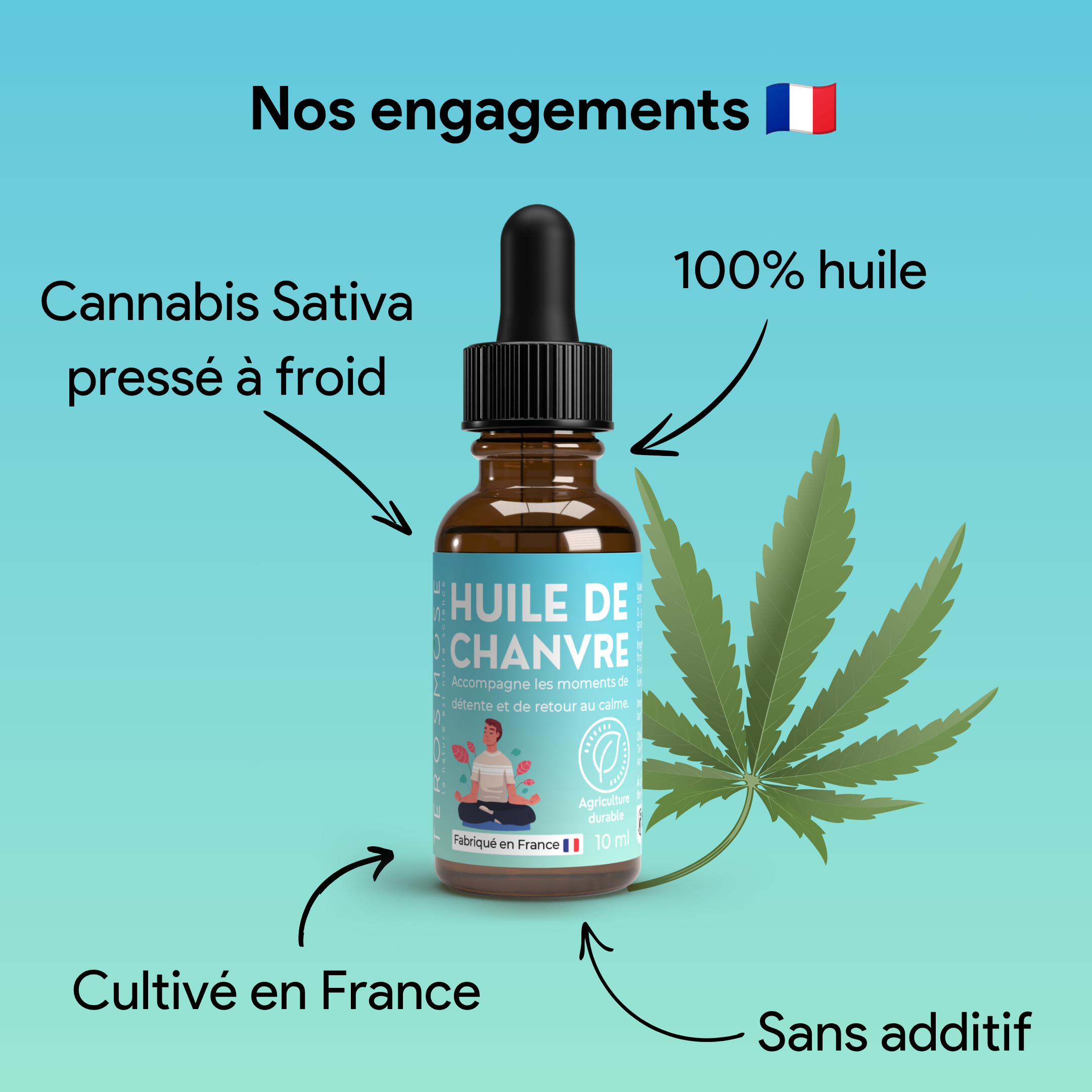 Huile de chanvre • Équilibre quotidien