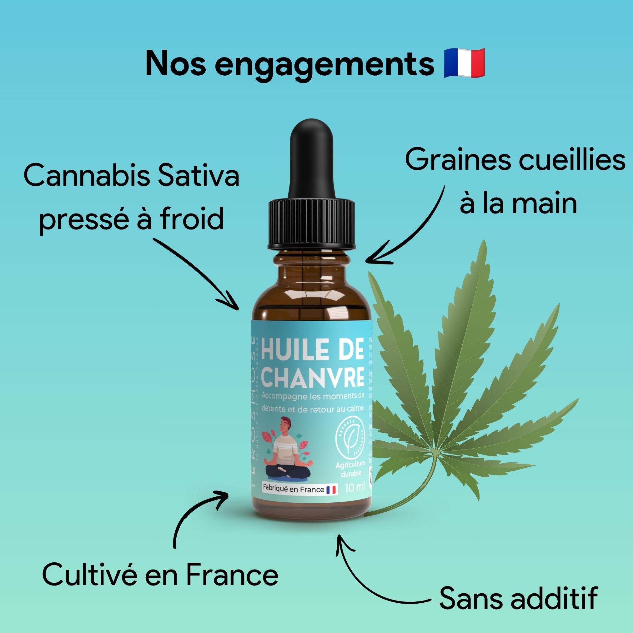 Huile de chanvre • Équilibre quotidien
