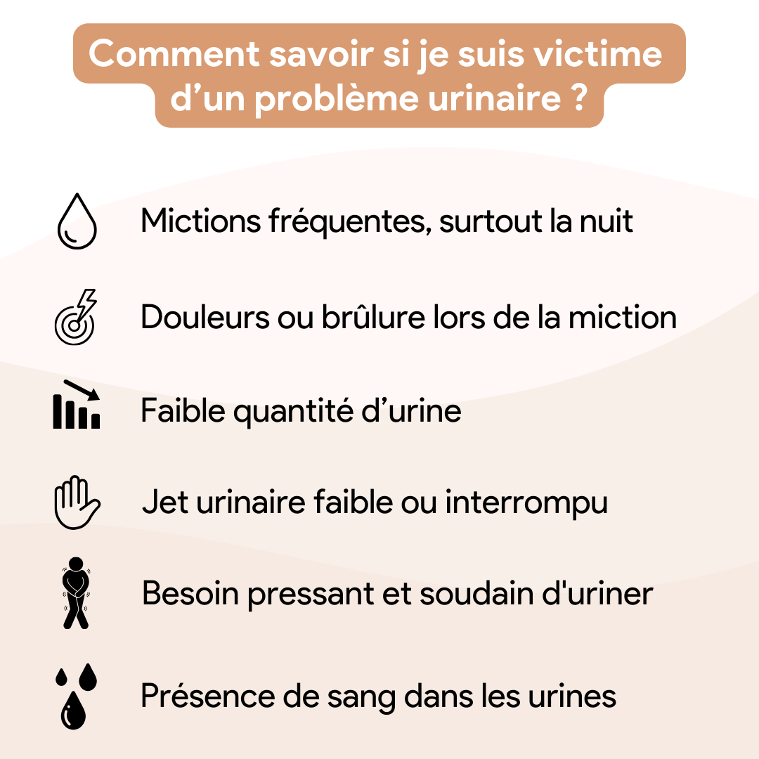 Prostatex • Confort prostate